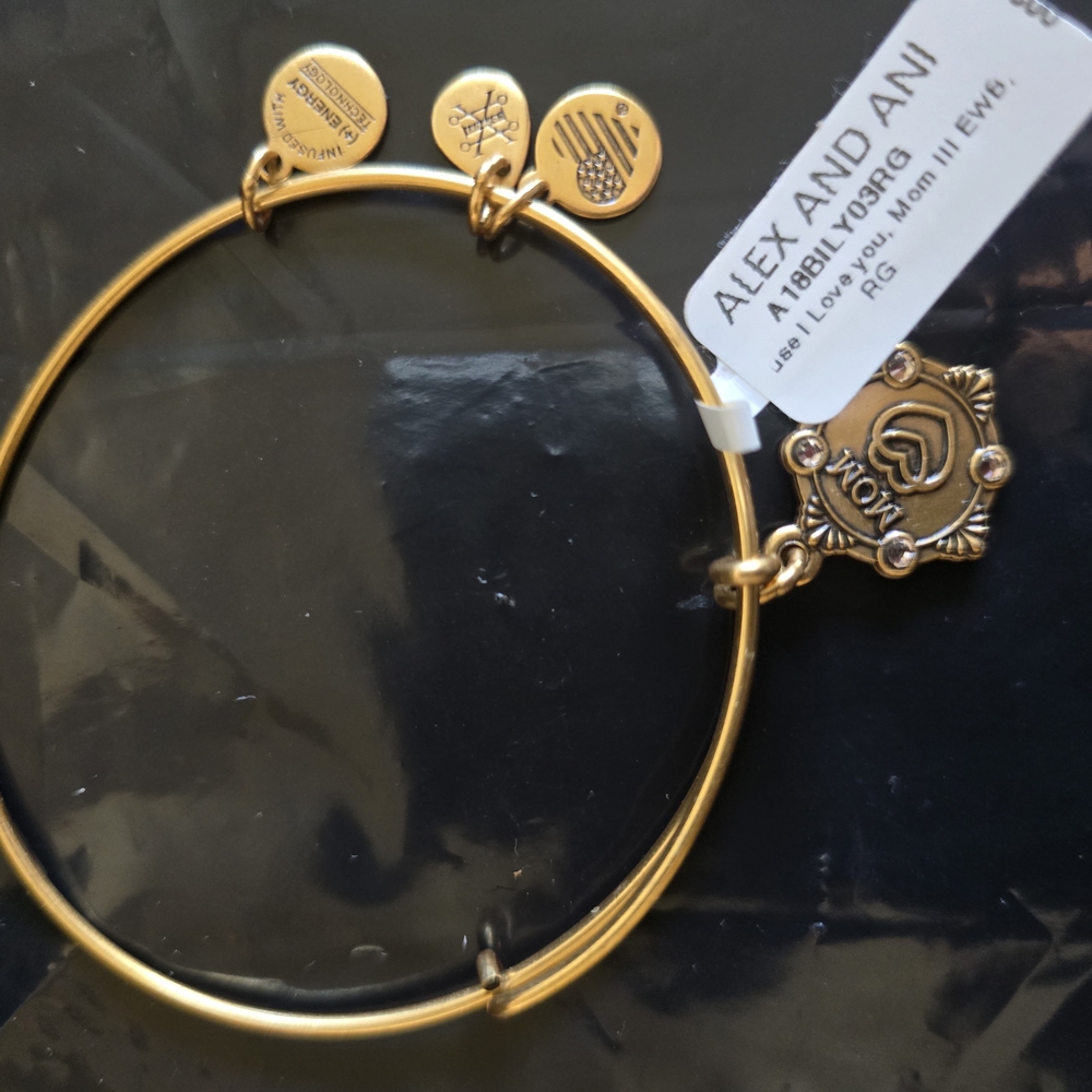 Alex and Ani Gold Charm Bracelet New - Picture 1 of 6